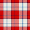 Lennox Dress Red Tartan Kilt - view 2