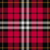 Little Tartan Kilt - view 2