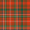 MacDonald of Staffa Ancient Tartan Kilt - view 2