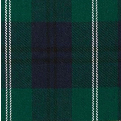 Oliphant Modern Tartan kilt - view 2