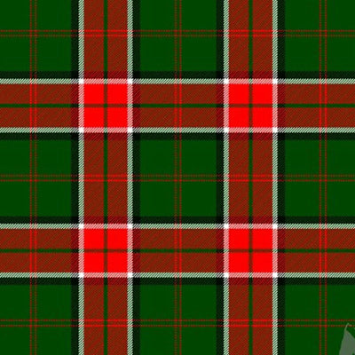 Pollock Tartan Kilt - view 2