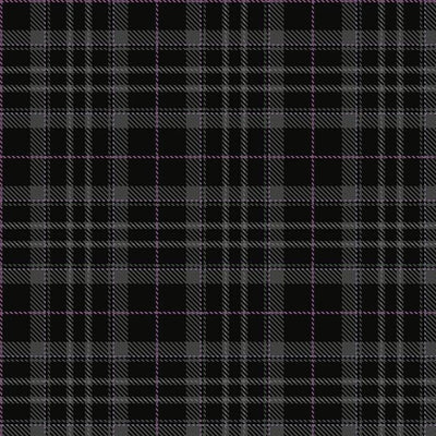 Pride of Scotland Platinum Tartan Kilt - view 2