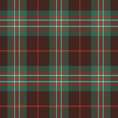 Scott brown Ancient Tartan Kilt - view 2