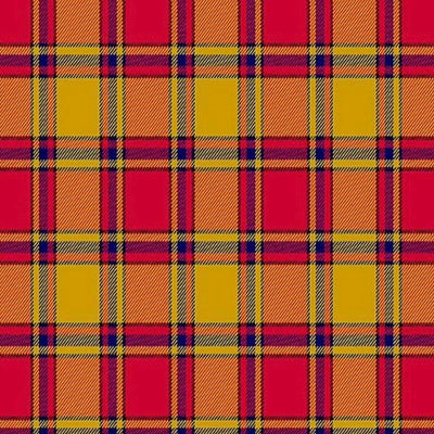 Scrymgeour Tartan Kilt For Men - view 2