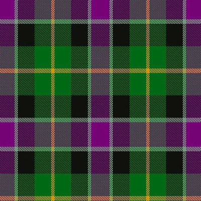 Selkirk Tartan Kilt - view 2