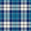 Strathclyde Modern Tartan kilt