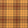 Ulster Irish Tartan kilt