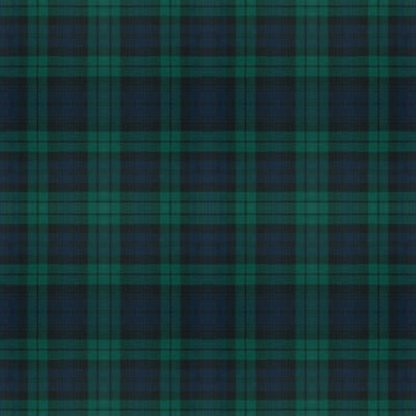 Grant Hunting Modern tartan fabric