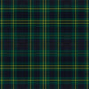 Johnstone Modern tartan fabric