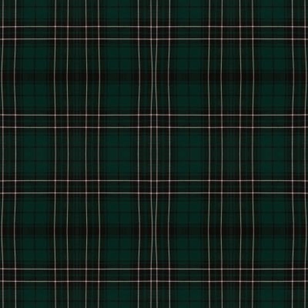 MacLean Hunting Modern tartan fabric